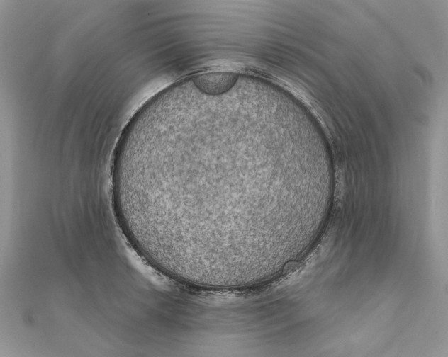 X0000111441042200908031348