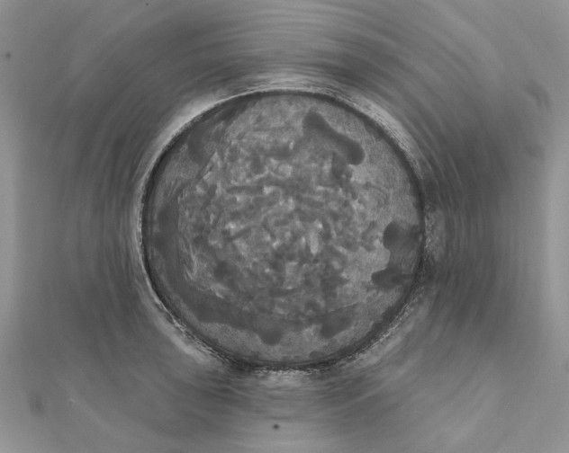 X0000111441043200908031348