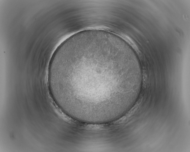 X0000111441044200908031348