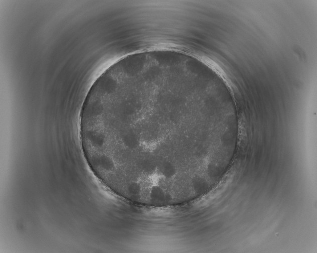 X0000111441047200908031348