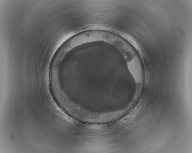 X0000111441048200908031348