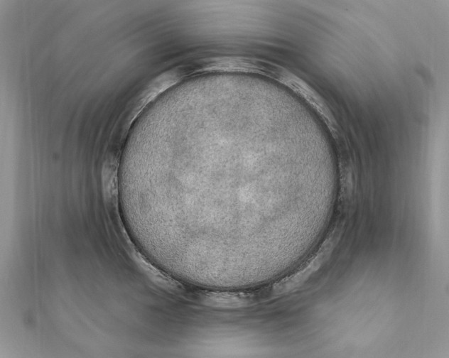 X0000111441049200908031348