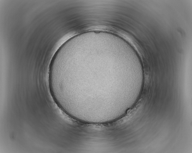 X0000111441050200908031348