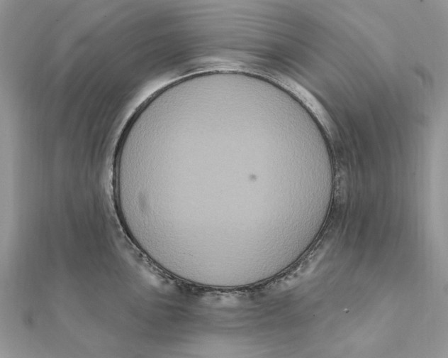 X0000111441051200908031348