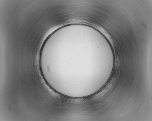 X0000111441053200908031348