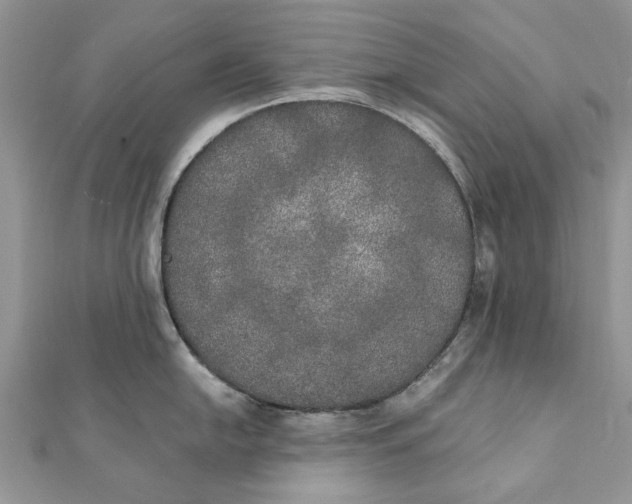 X0000111441054200908031348