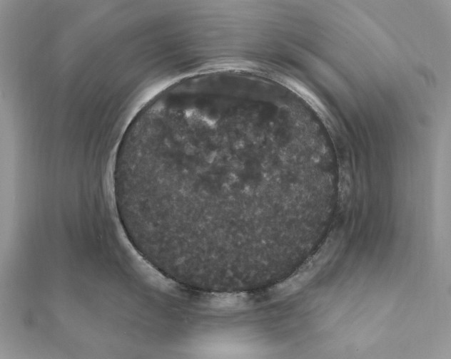 X0000111441055200908031348