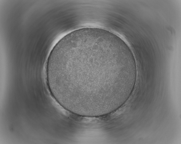 X0000111441056200908031348