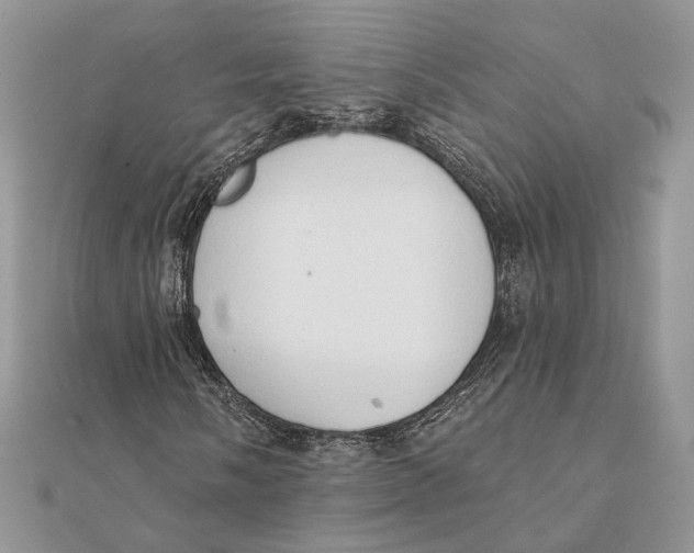 X0000111441058200908031348