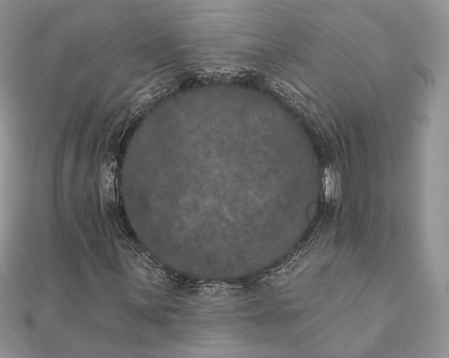 X0000111441059200908031348