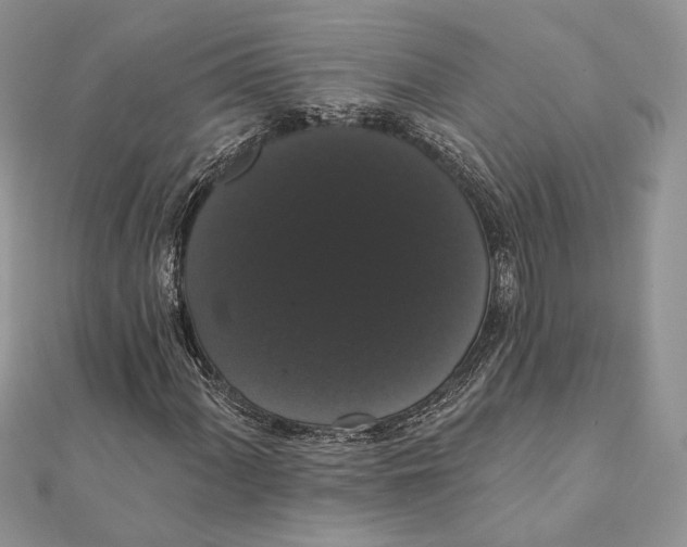 X0000111441060200908031348