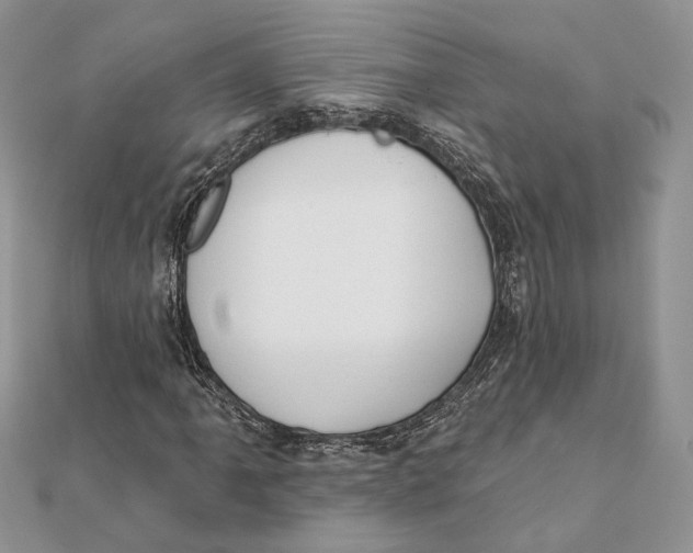 X0000111441061200908031348