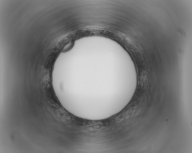 X0000111441062200908031348