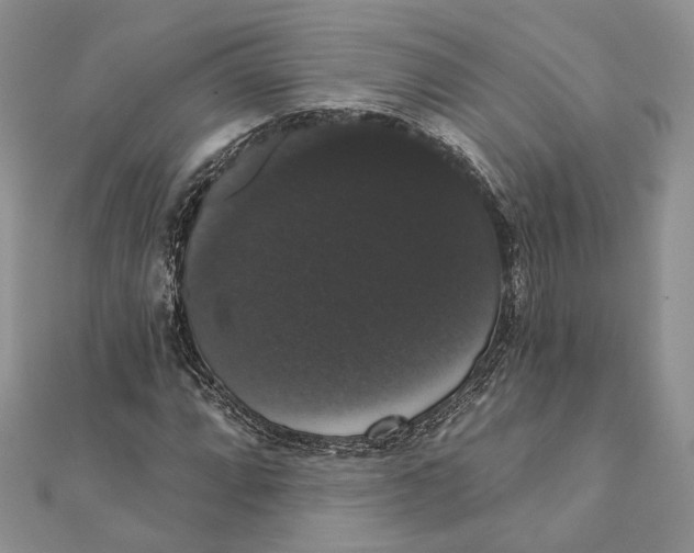 X0000111441064200908031348