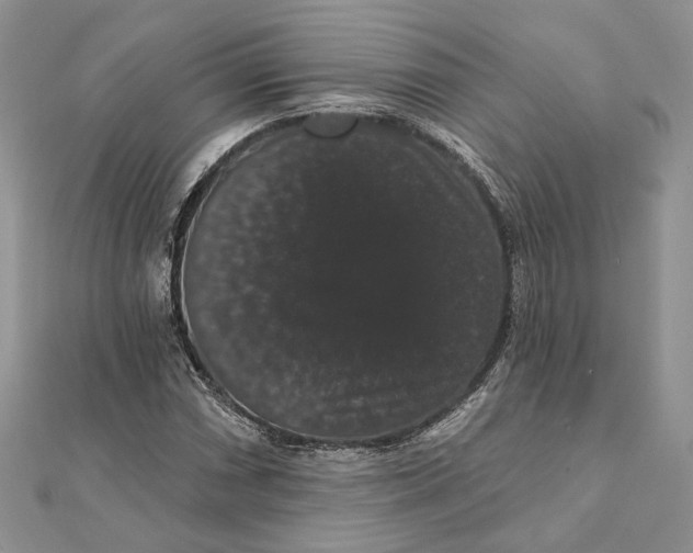 X0000111441066200908031348