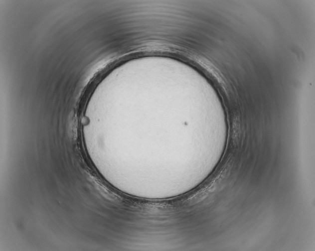 X0000111441067200908031348