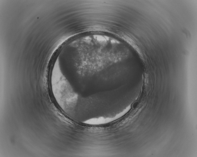 X0000111441068200908031348