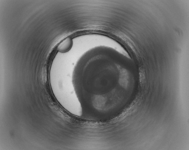 X0000111441069200908031348