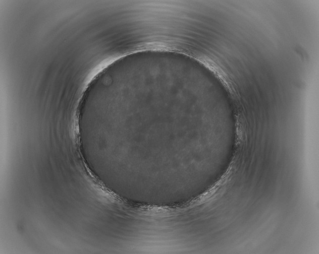 X0000111441070200908031348