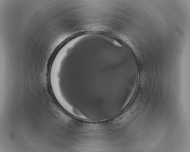 X0000111441071200908031348