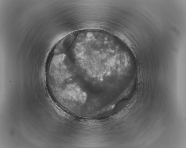 X0000111441072200908031348