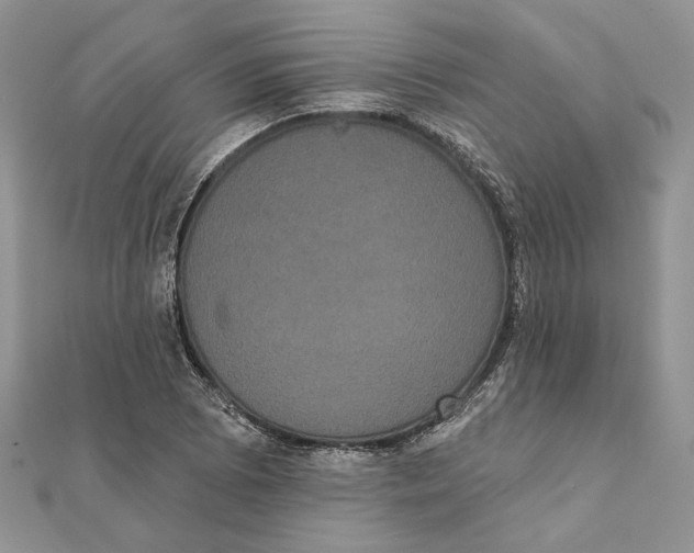 X0000111441073200908031348