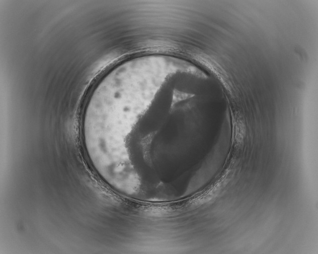 X0000111441074200908031348