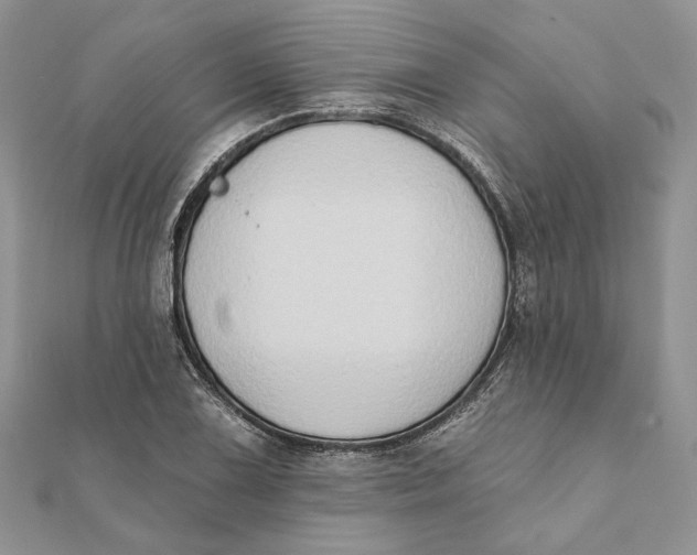 X0000111441075200908031348