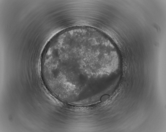 X0000111441076200908031348