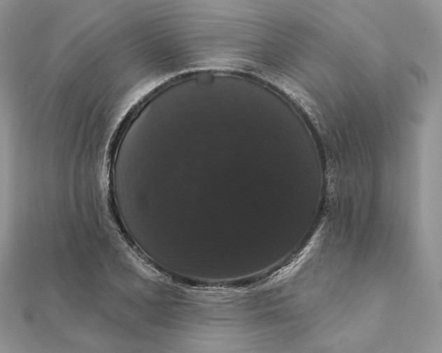 X0000111441077200908031348