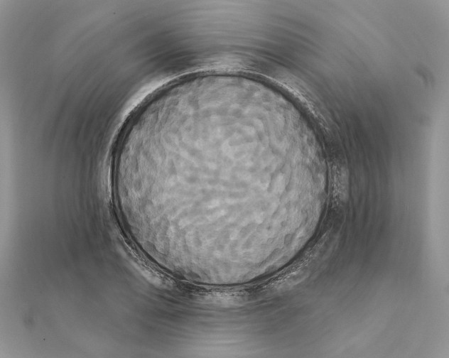 X0000111441078200908031348