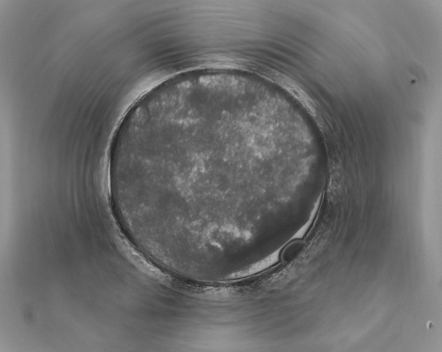 X0000111441080200908031348