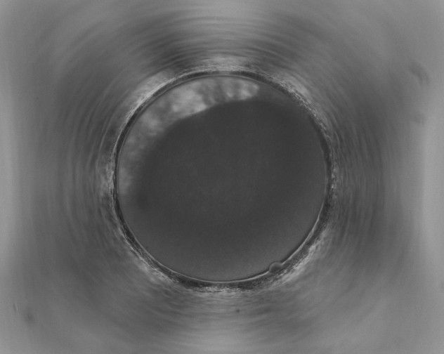 X0000111441081200908031348