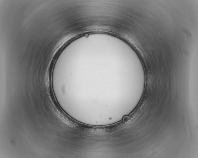 X0000111441082200908031348