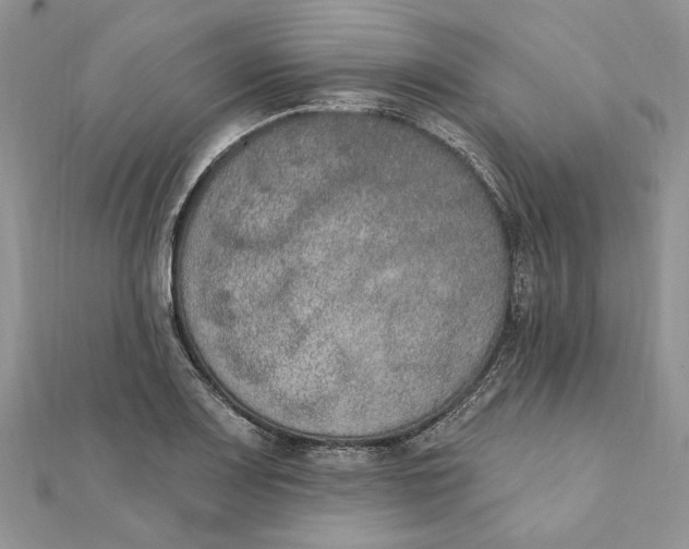 X0000111441083200908031347