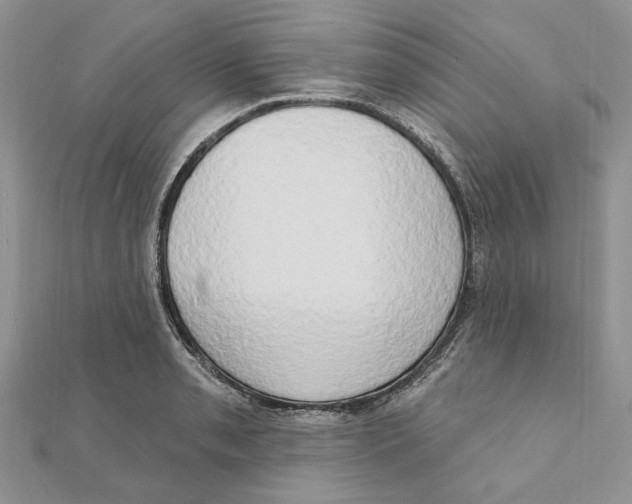 X0000111441085200908031347