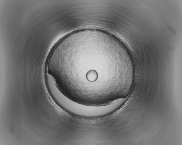 X0000111441086200908031347