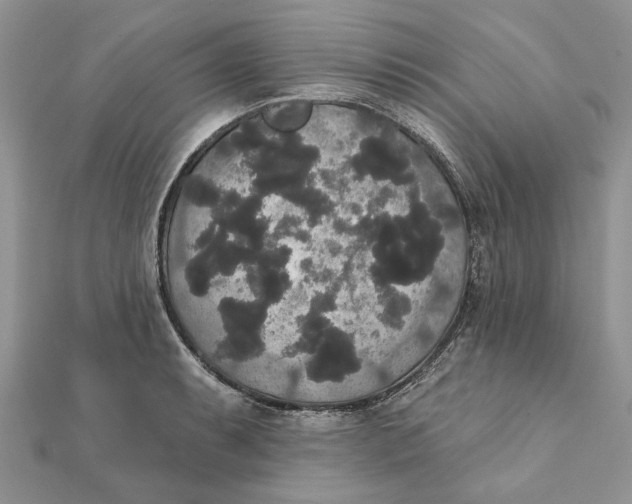 X0000111441087200908031347