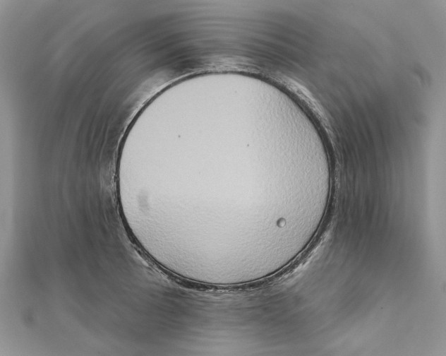 X0000111441089200908031347