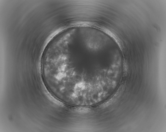 X0000111441090200908031347