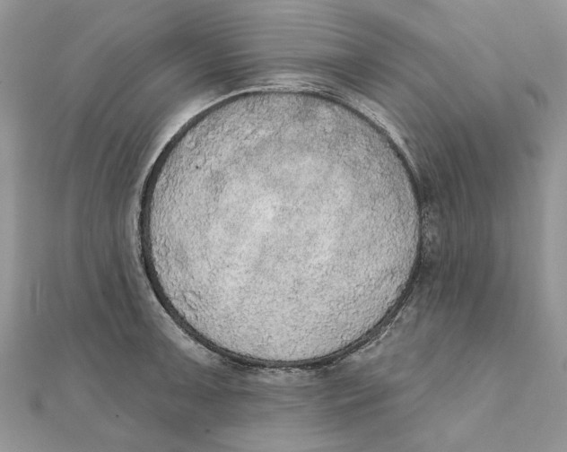 X0000111441091200908031347