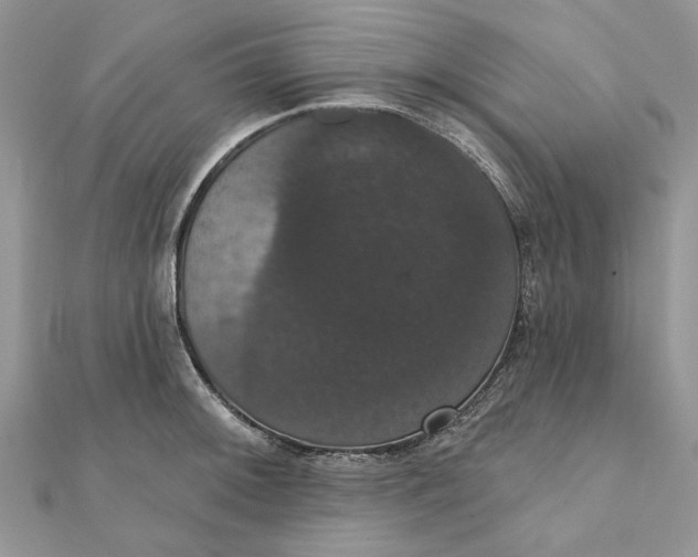 X0000111441092200908031347