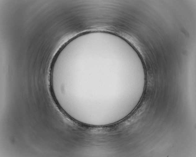 X0000111441093200908031347