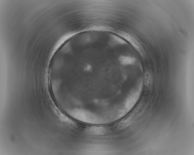 X0000111441094200908031347