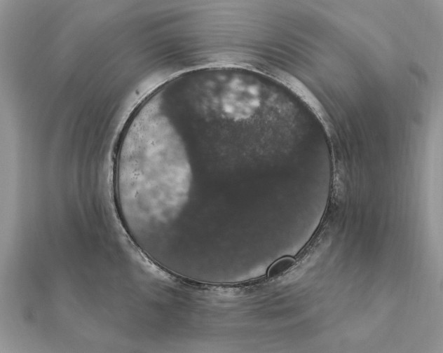 X0000111441096200908031347