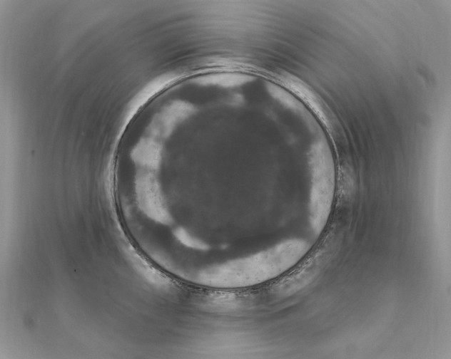 X0000111441098200908031347