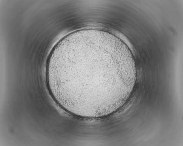 X0000111441099200908031347