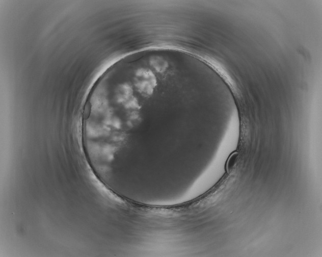 X0000111441100200908031347