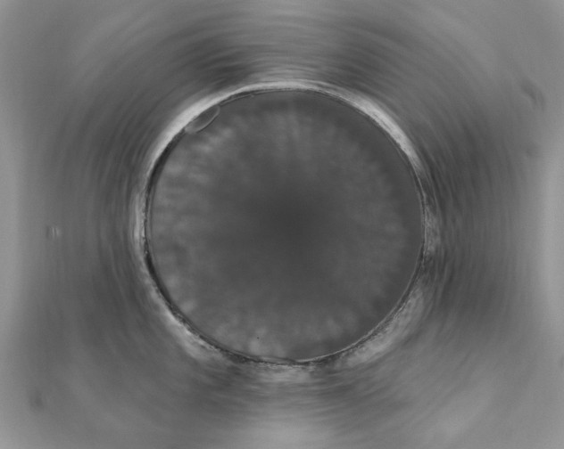 X0000111441101200908031347