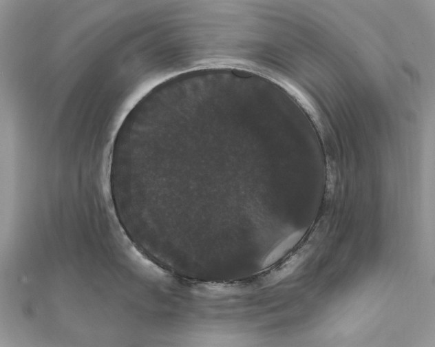 X0000111441102200908031347